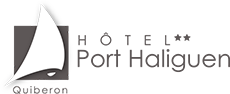 Logo Hotel du port Haliguen