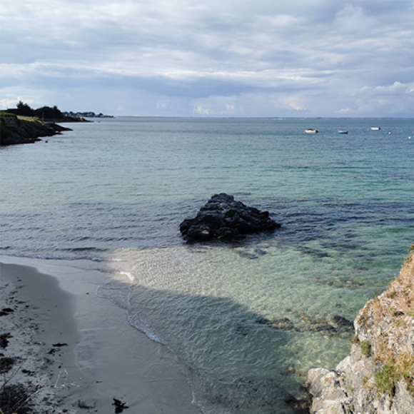 îles large de Quiberon, Morbihan